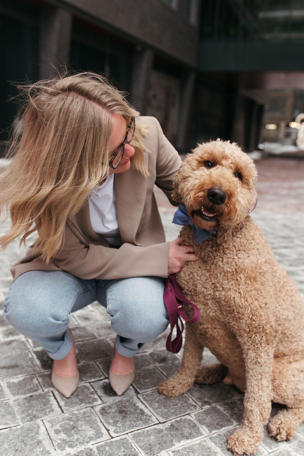 Fixed-price digital marketing packages for small businesses